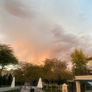 Meet your Posher, Gus